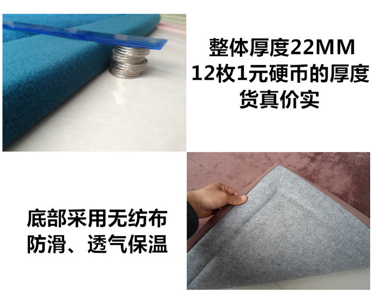 新款简约时尚加厚地垫 大 满铺床边地毯地垫 客厅茶几卧室防滑地毯垫子 浅棕色  200*200cm