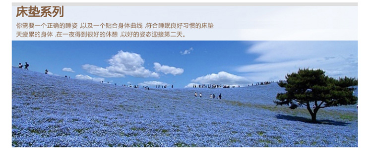 
                                        罗莱家纺 可折叠床垫床褥双人单人床垫子加厚床垫 LY157 150cm*200cm                
