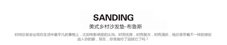 
                                        美美爱  四季款 双面欧式防滑沙发垫布艺坐垫沙发巾罩套 莱茵双面 110*180cm                