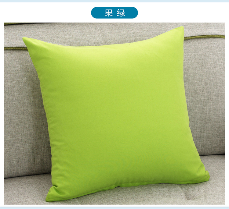 
                                        草木之语 抱枕靠垫枕办公室午睡枕套芯护腰枕靠坐垫 青枝 40cm*40cm                