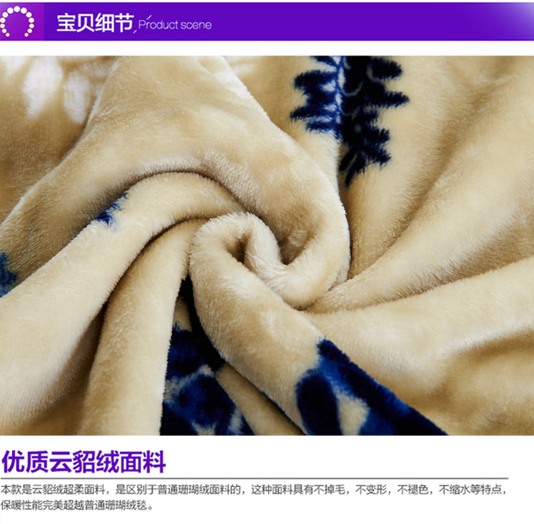 亲见家纺 床上用品 云貂绒毛毯加厚空调毯双人毯 毯子 爱丽丝-蓝 150*200