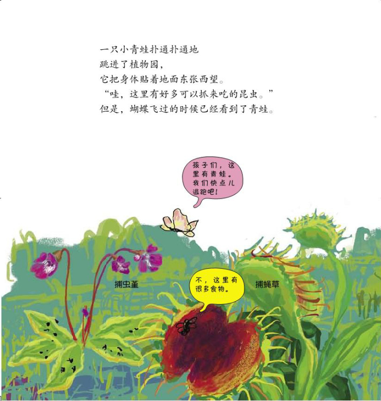 科学how so (植物篇)吃虫子的植物:嘘!有可能被吃掉哦! korea tolstoi