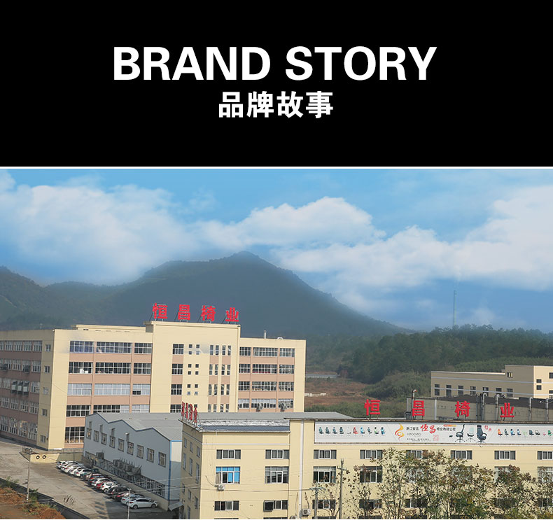 恒昌椅康电脑椅家用办公椅休闲椅网椅人体工学