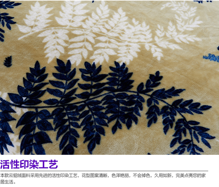 亲见家纺 床上用品 云貂绒毛毯加厚空调毯双人毯 毯子 爱丽丝-蓝 150*200