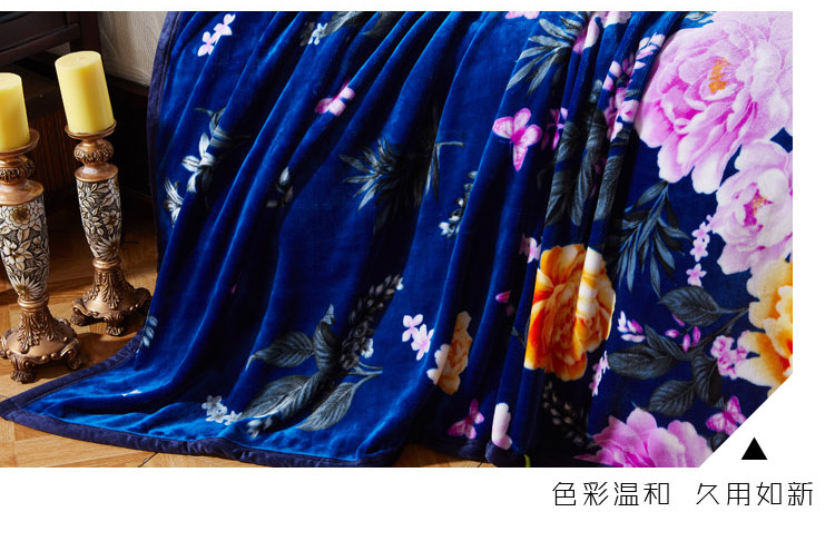 
                                                            艺云阁 毯子 毛巾被毛毯云貂绒加厚保暖毯子 单人双人学生四季毛巾被秋冬午睡毯 裸婚原点1 180*200cm                