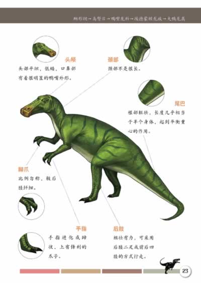 150种恐龙,分解图展示,注释文字说明,在形体,习性等方面都各有各的