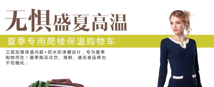 致丽生活 购物车买菜车小拉车老人手拉车爬楼梯行李车可折叠拉杆车小拖车 防水保温包邮 咖啡色 S30轻便型