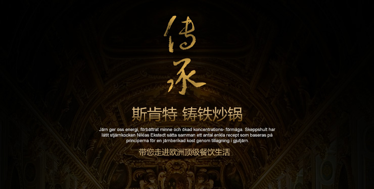 瑞典进口斯肯特 铸铁炒锅 无烟无涂层物理不粘锅铁锅 电磁炉通用