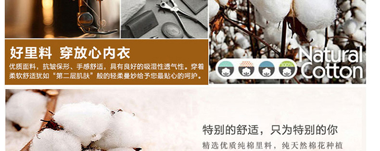 仙子宜岱女式内衣无钢圈<em>文胸</em>聚拢舒适<em>ABC</em>杯