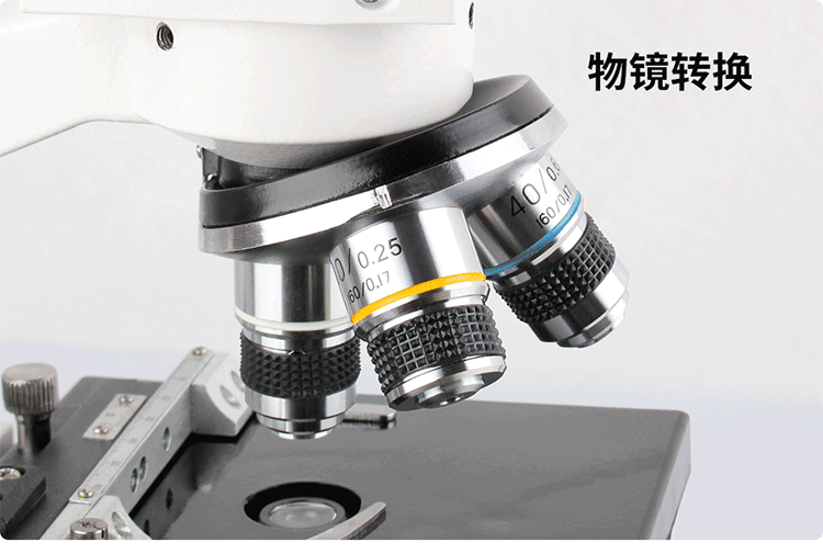 西湾(ciwa)xsp-35tv显微镜学生高倍专业 水产养殖科研教学 电子生物