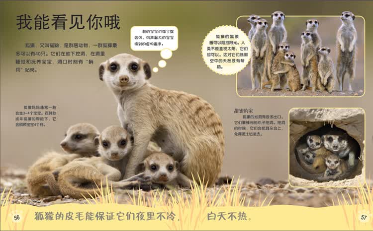 介绍动物的习性,特点等,蕴含趣味百科知识. 序言
