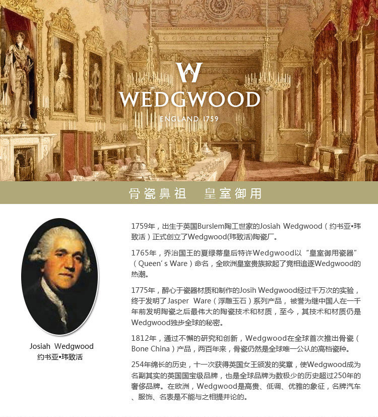 Wedgwood Cornucopia  丰饶之角黑边20cm平盘单只装