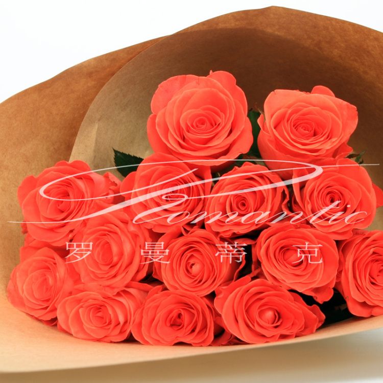 日常家居用花精选原材系列 空运花材专人配送