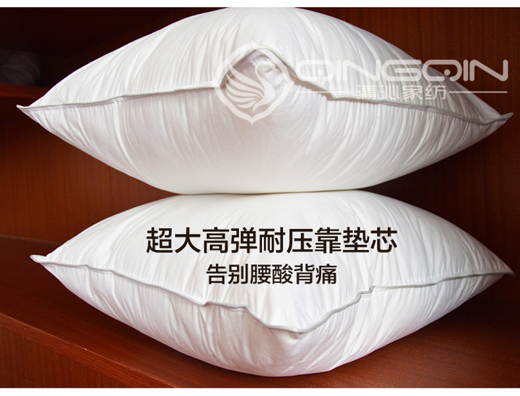 
                                        清沁 办公室抱枕 沙发抱枕芯 特价靠垫靠枕芯45 45 50 50 60 60 65 65 45cm*45cm                