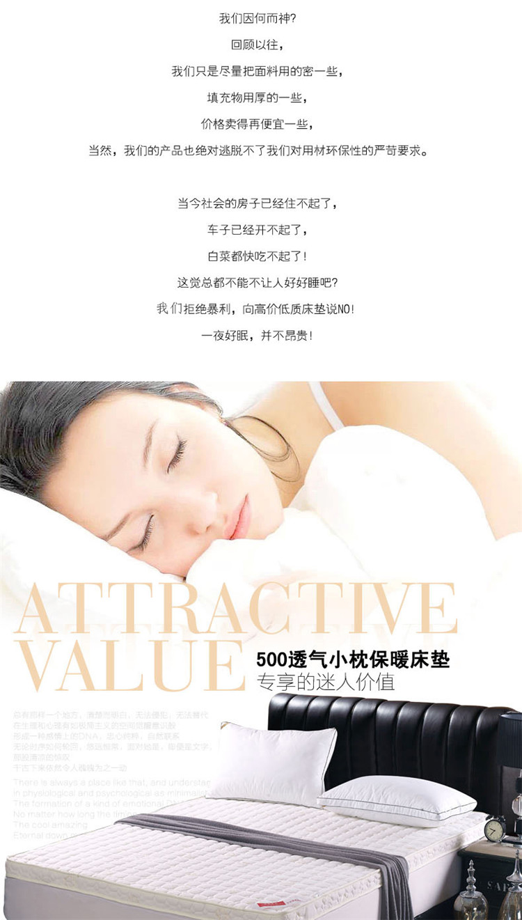 
                                                            艺云阁 床笠床垫保护垫床褥子垫子针织棉软床垫单人双人床褥 立体款针织布床护垫 180*200cm                