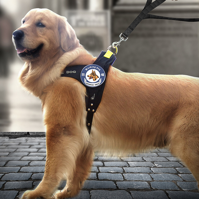 牛皮狗嘴套防咬狗囗罩防叫嘴套金毛藏獒可调节