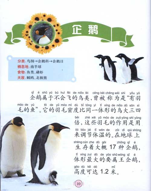 动物 金眼睛儿童启蒙知识小百科 少儿 null 正版图书