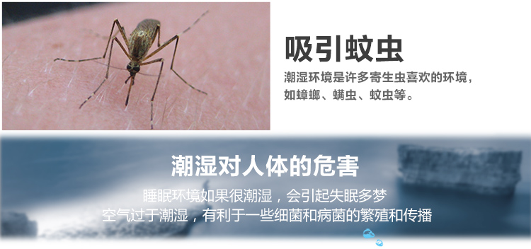 质真至美 百花香除湿袋 干燥剂 除湿剂 吸湿剂 除湿袋 衣服衣柜除湿防潮 6袋