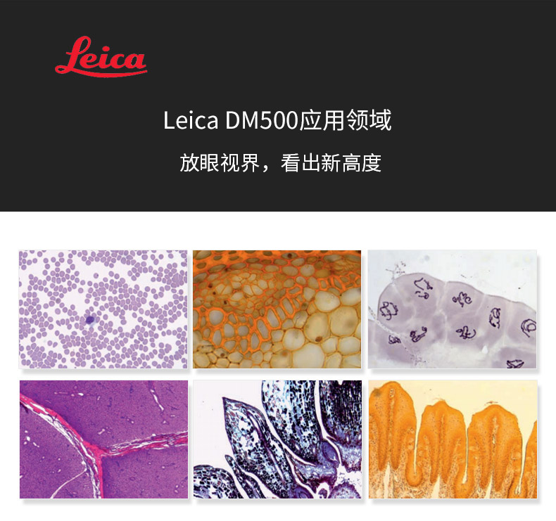 徕卡 DM500双目生物显微镜LeicaDM500三目生物显微镜