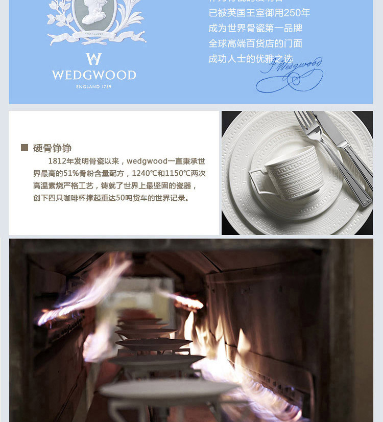 Wedgwood Cornucopia  丰饶之角黑边20cm平盘单只装