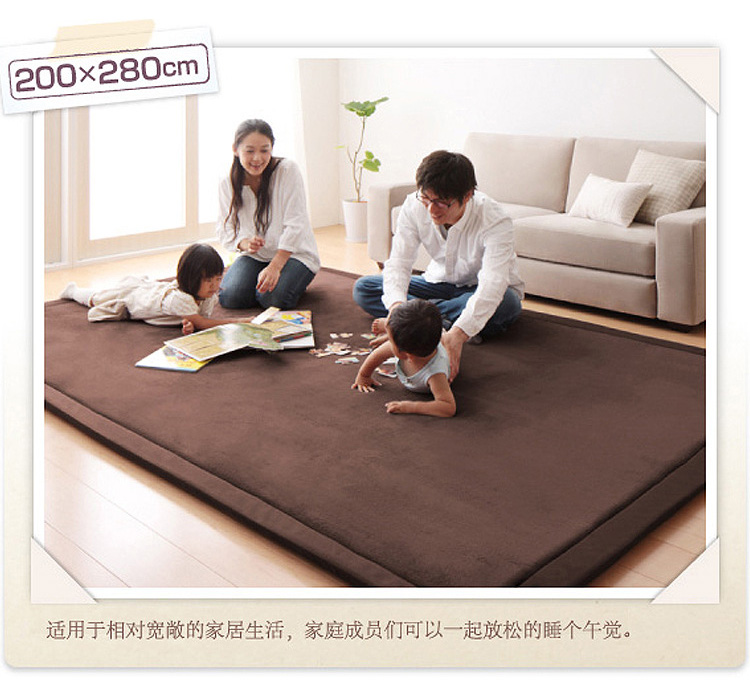 新款简约时尚加厚地垫 大 满铺床边地毯地垫 客厅茶几卧室防滑地毯垫子 浅棕色  200*200cm