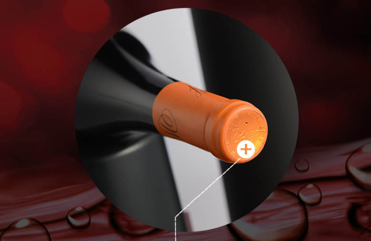 12.5°禾富山谷橡木桶陈酿2013西拉葡萄酒75