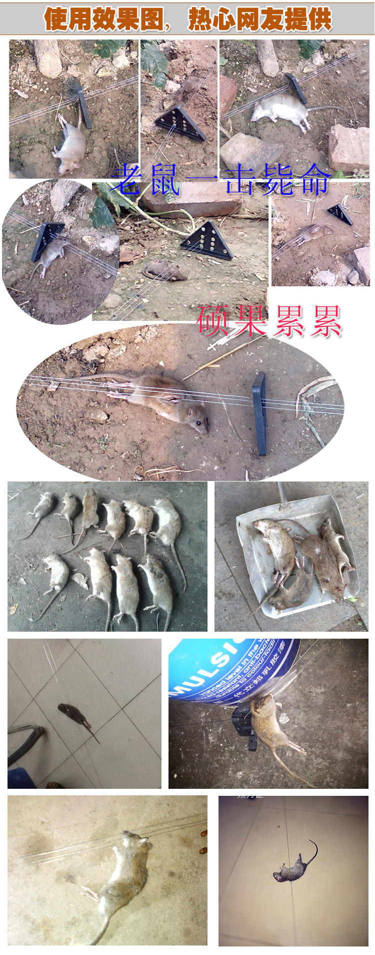 皇猫2500v高压灭鼠器家用电子猫捕鼠器大功率电老鼠器