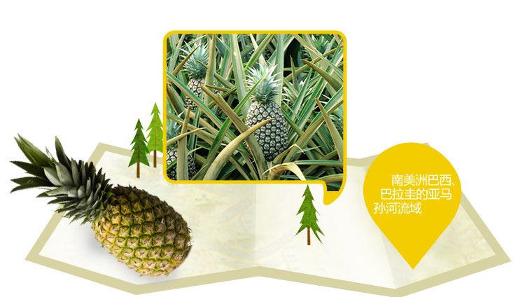 百草味 菠萝干100g\/袋装 蜜饯水果干 凤梨干【