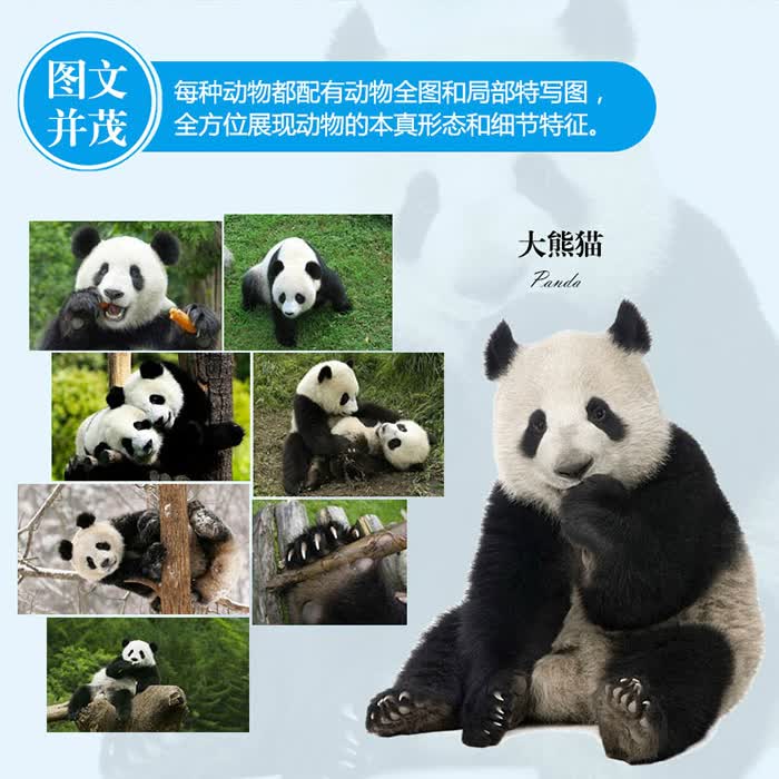 常见动物识别图鉴