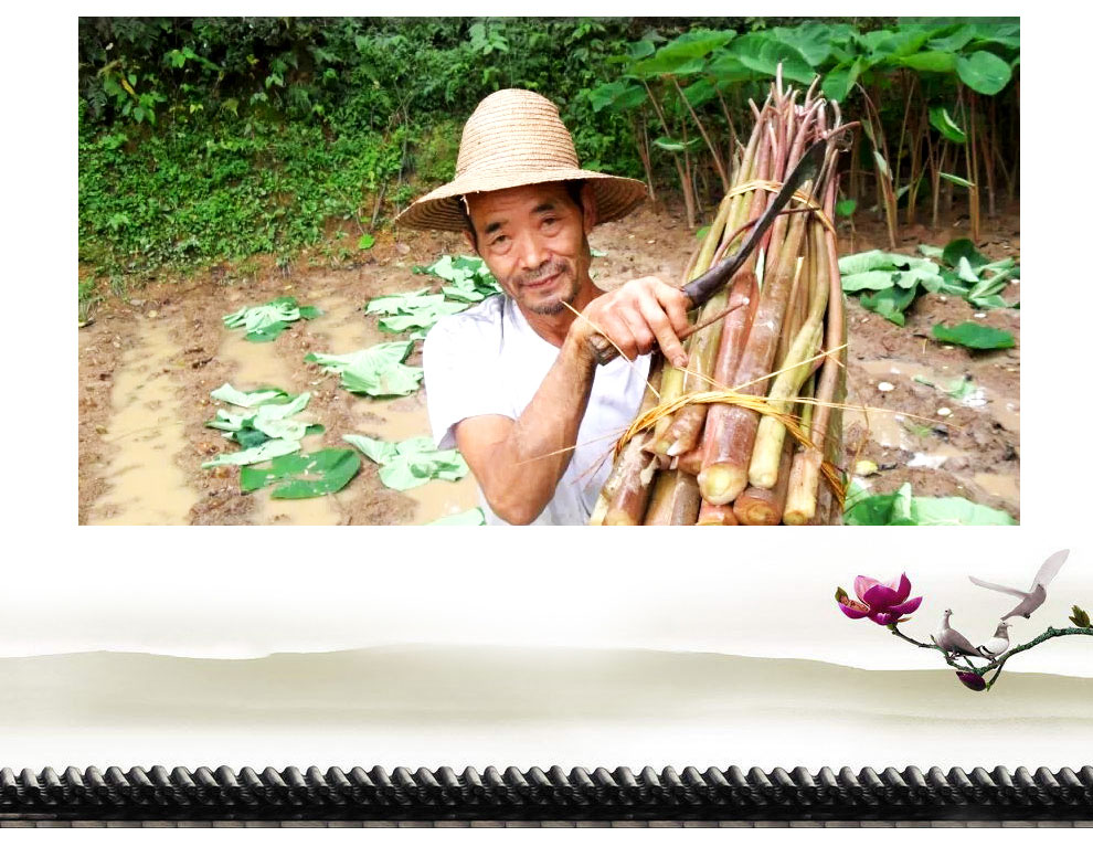 芋荷梗60g真空 团购 - 京东团购全国站