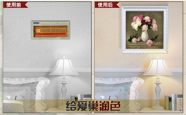
                                        普瑞德斯 电表箱装饰画美式欧式手绘推拉配电箱画电表盒电闸欧式有框挂画 白瓶玫瑰 60*50可挡50*40                