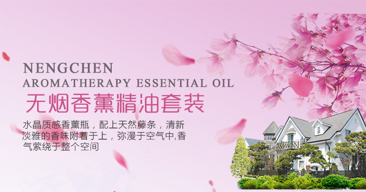 能臣 无火香薰精油套装室内房间香水卧室家居藤条挥发熏香料香薰 薰衣草50ml