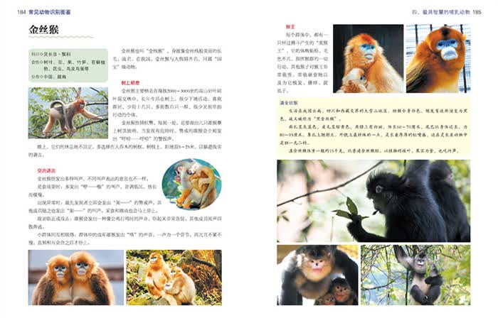 常见动物识别图鉴