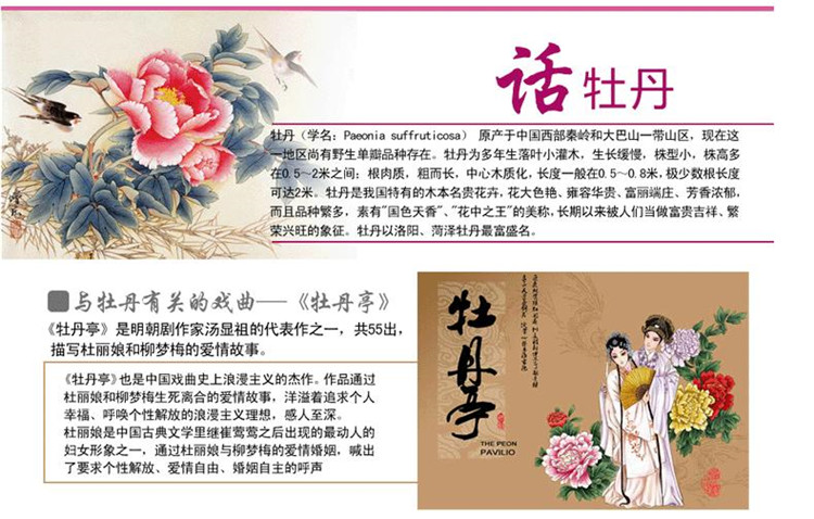 
                                        爱度ks 印花布十字绣国色牡丹九尺牡丹花开花卉3米开客厅卧室房间大幅画 客厅大画 尺寸约290*90cm                
