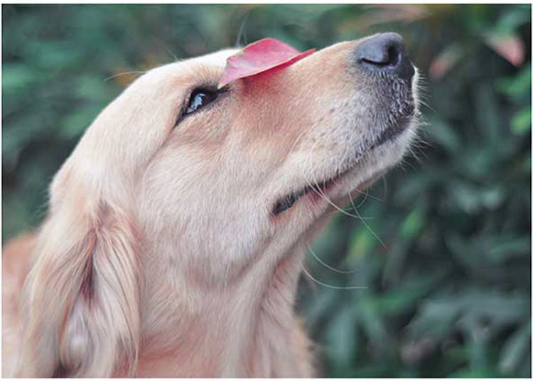 让我留在你身边阅读