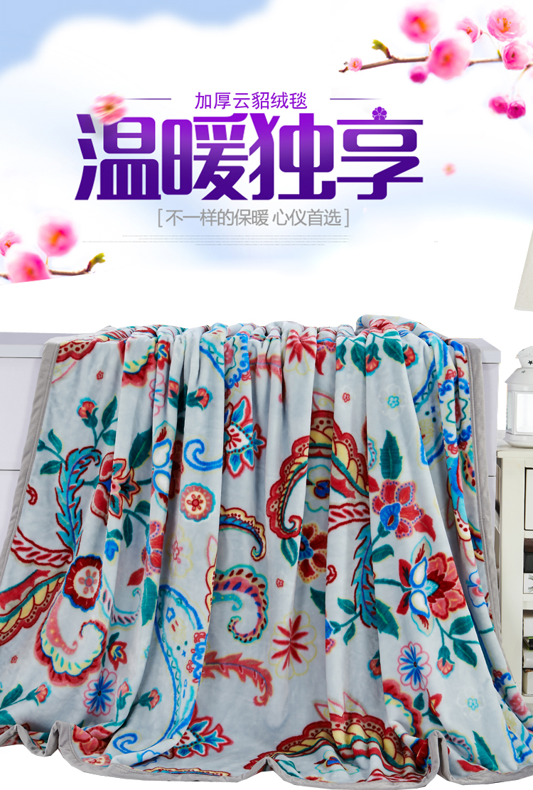 亲见家纺 床上用品 云貂绒毛毯加厚空调毯双人毯 毯子 爱丽丝-蓝 150*200