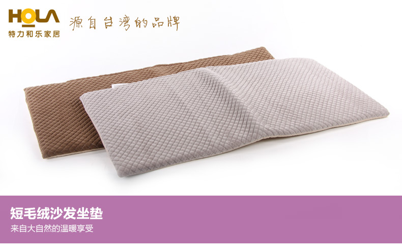 HOLA特力和乐 春秋款短毛绒四季沙发坐垫 欧式布艺原特力屋 咖啡 53*165*4