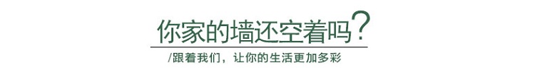 名帛 现代简约美式客厅装饰画沙发背景墙装饰画卧室风景画玄关挂画餐厅壁画植物有框画欧式植物画 C款 进口画芯