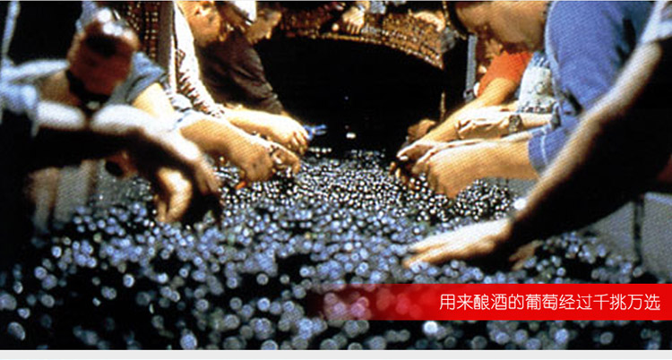 法国原瓶原装进口红酒 皇家名爵 干红葡萄酒 优