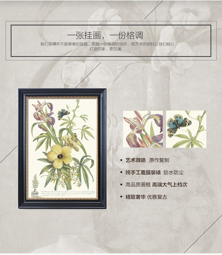 有家装饰画客厅餐厅三联挂画美式乡村蝴蝶小清新植物花卉卧室有框画 B款单幅 高70*宽55cm实木框装裱