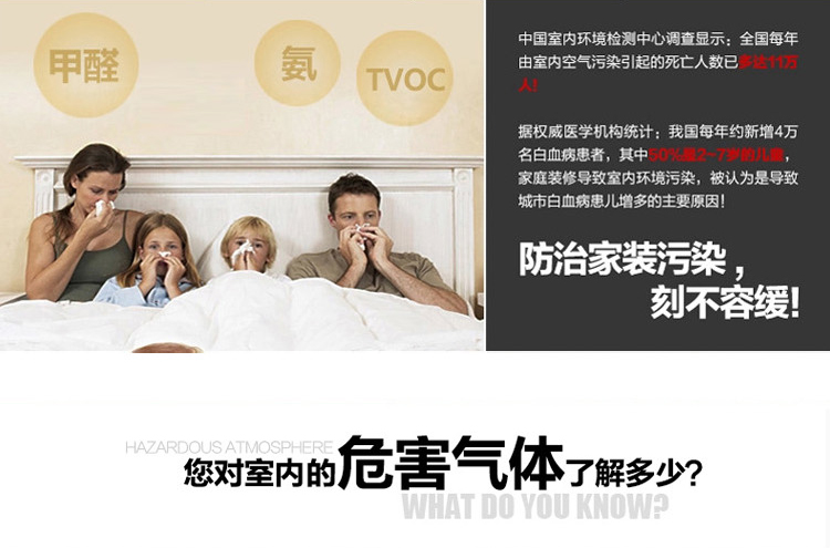 
                                        森然净 异味清除剂高效清除装修甲醛地毯墙纸异味去除甲醛异味 除甲醛喷雾新房装修去除甲醛 1000g                