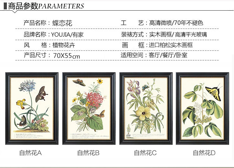 有家装饰画客厅餐厅三联挂画美式乡村蝴蝶小清新植物花卉卧室有框画 B款单幅 高70*宽55cm实木框装裱