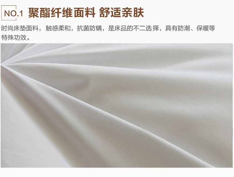 
                                                                                艺云阁 床垫床褥子 加厚保暖羽丝绒可折叠榻榻米床垫 单人双人宾馆酒店保护垫子 5cm厚床垫-白色 0.9*2米/0.9学生床专用                
