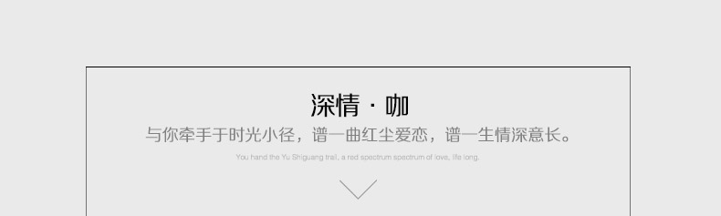 康丝丽欧式沙发垫奢华布艺防滑皮沙发坐垫春夏四季组合座垫套 华丽米  70*70CM