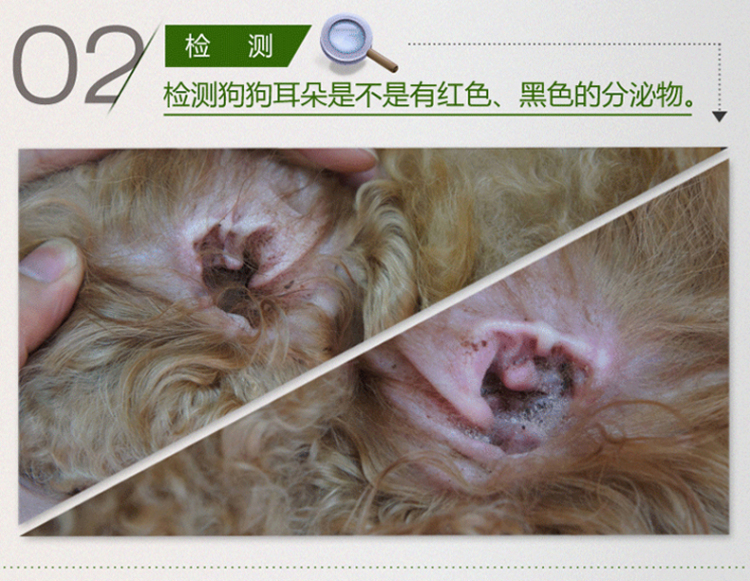 小宠洁耳舒 狗狗洗耳液滴耳油滴耳液耳朵清洁