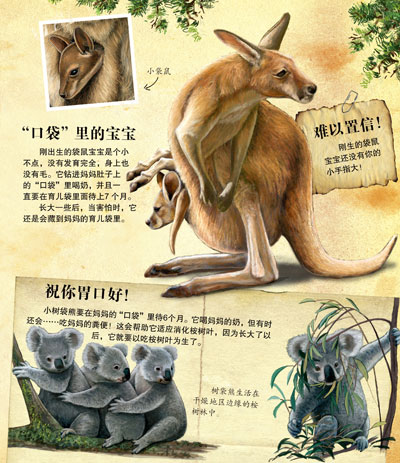不可思议的百科全书——动物宝宝