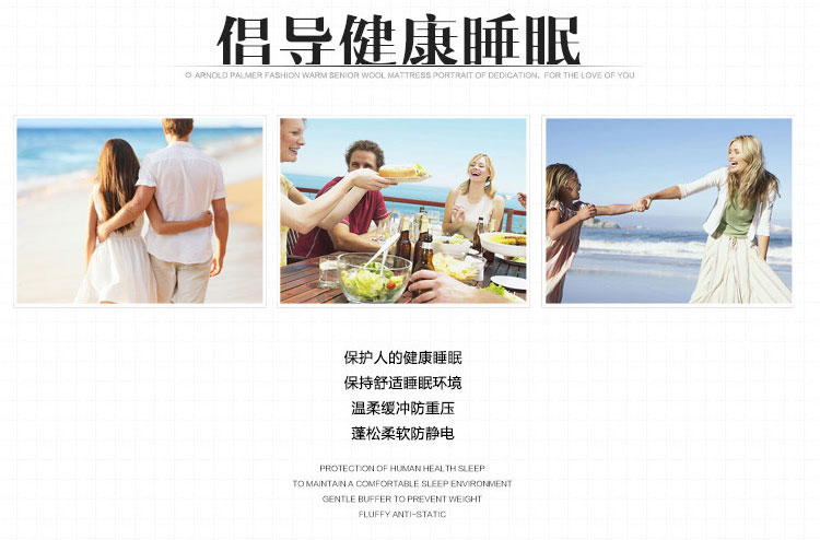 
                                                                                艺云阁 床垫床褥子 加厚保暖羽丝绒可折叠榻榻米床垫 单人双人宾馆酒店保护垫子 5cm厚床垫-白色 0.9*2米/0.9学生床专用                