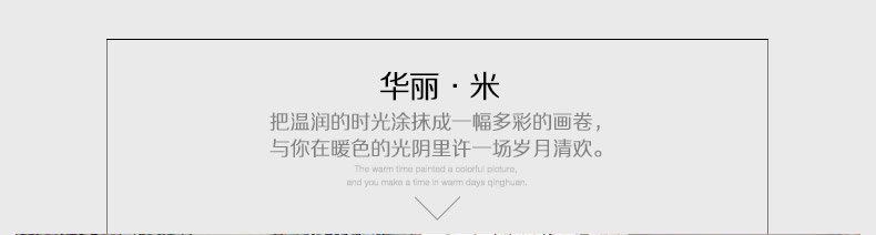 康丝丽欧式沙发垫奢华布艺防滑皮沙发坐垫春夏四季组合座垫套 华丽米  70*70CM