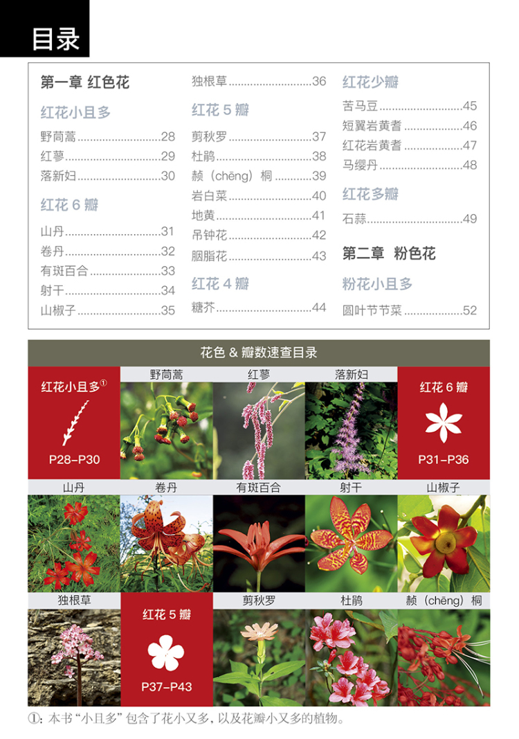 看图识野花:全新升级版 金宁 彭博 朱强 江苏科学技术出版社