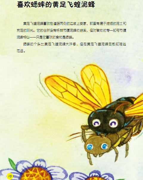 昆虫记 贪婪的麻醉专家—砂泥蜂 胡延东译